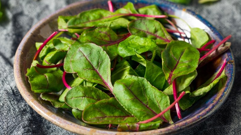 Lá củ cải đường làm tăng lượng máu đến cơ, cải thiện chuột rút