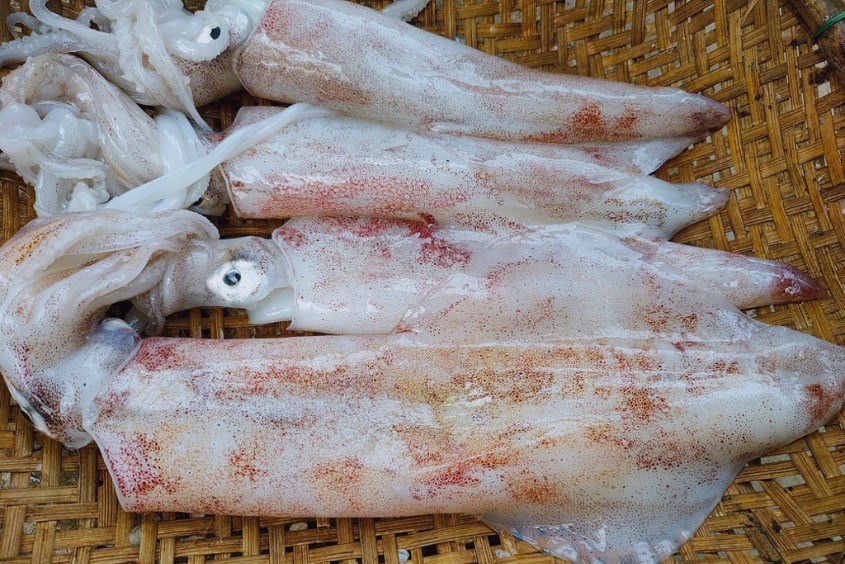 Mực có thể làm cho vết mổ sau sinh bị kích ứng