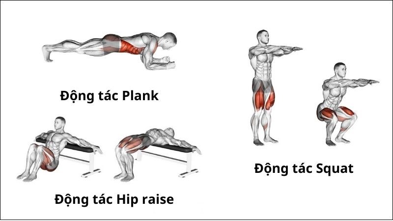 Các bài tập Aerobic tại nhà