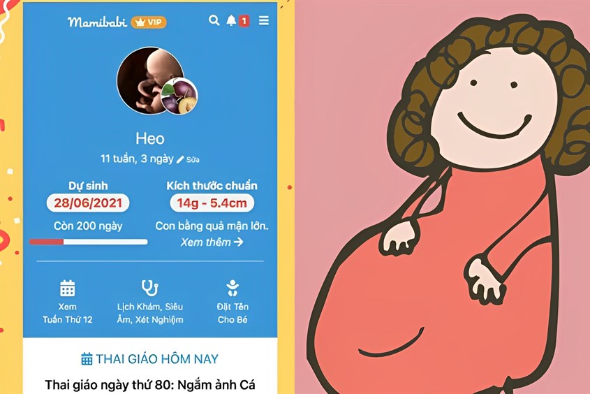 Mamibabi là app thai giáo chi tiết và được nhiều mẹ lựa chọn