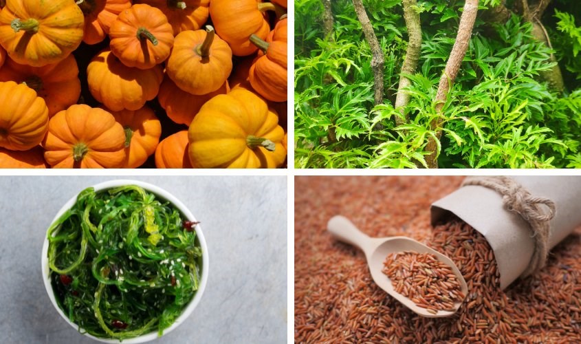 Các loại thực phẩm làm mát sữa mẹ là bí ngô, lá đinh lăng, rong biển, gạo lứt,... Các loại thực phẩm làm mát sữa mẹ