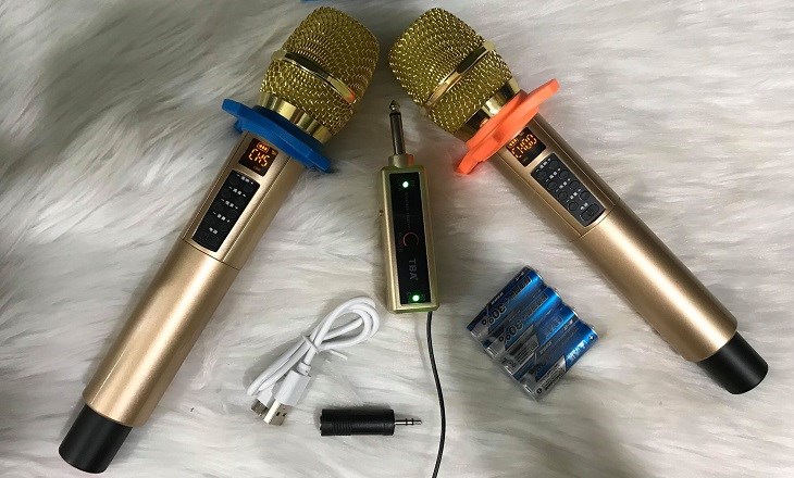 Nếu bạn dùng micro trong thời gian ngắn và đòi hỏi pin hoạt động liên tục, thì nên chọn pin thường dùng 1 lần.
