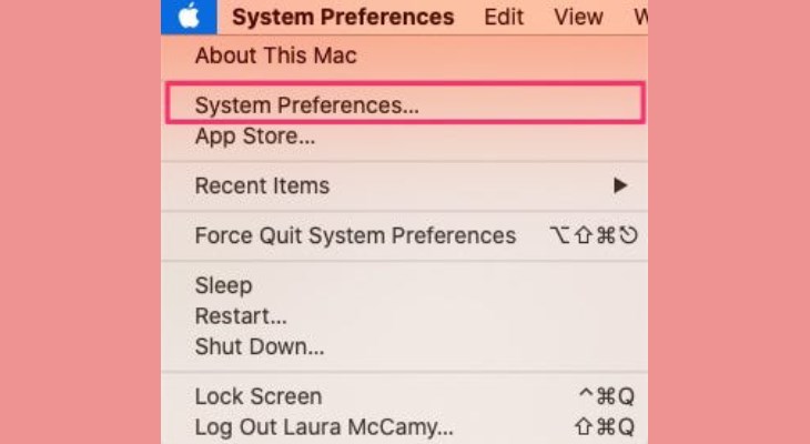 Bạn bấm vào biểu tượng Apple và chọn System Preferences