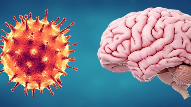 Viêm phổi do Covid-19 ảnh hưởng đến nhiều bộ phận quan trọng như thận, não, tim