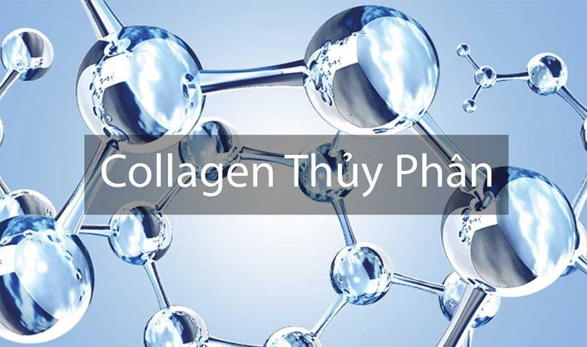 Khái niệm collagen peptide
