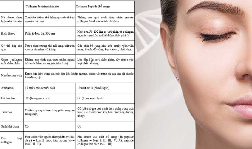 Phân biệt collagen peptide và collagen thông thường