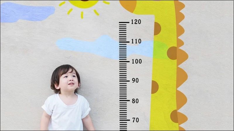 Các tế bào và xương được xây dựng và tái tạo dưới sự hỗ trợ của vitamin A