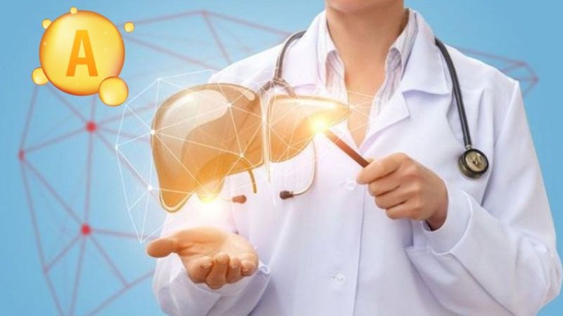 Vitamin A giúp cơ quan nội tạng như gan hoạt động tốt