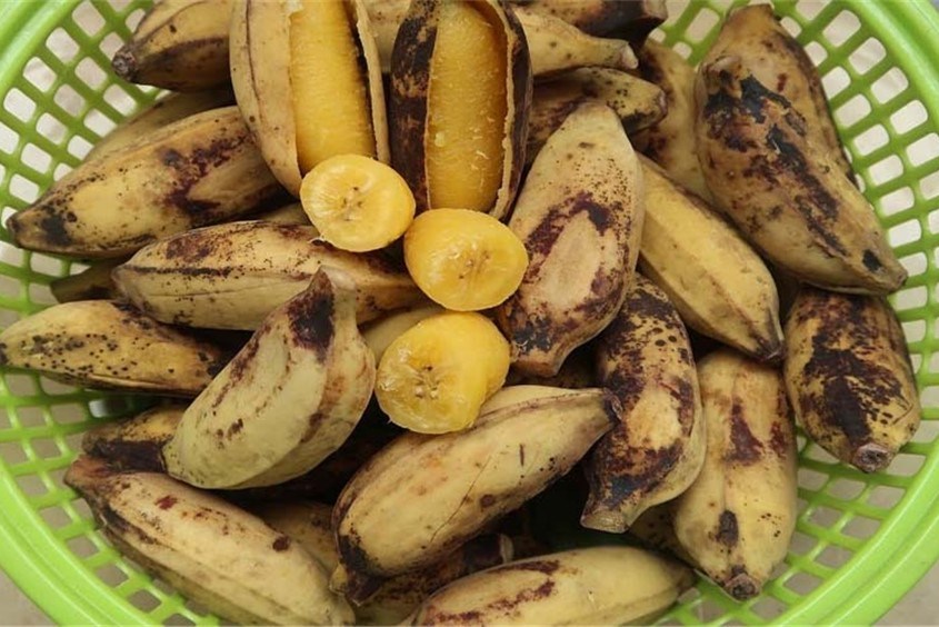 Cách làm món chuối luộc cho thực đơn eat clean của mẹ bỉm