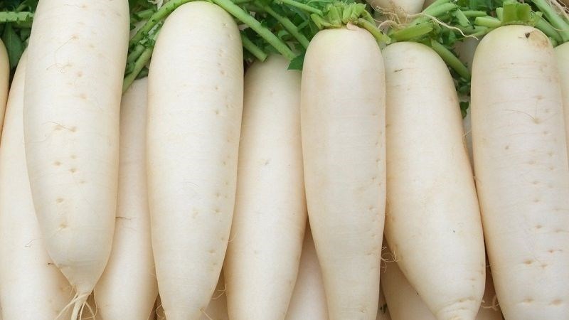 Ăn nhiều củ cải trắng sẽ gây chướng bụng, khó tiêu, ảnh hưởng đến tiêu hóa