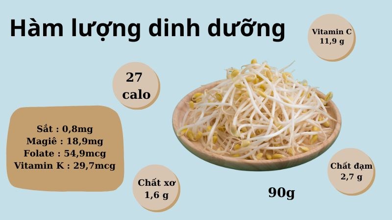 Giá đỗ cung cấp nhiều dưỡng chất nhưng lại rất ít calo