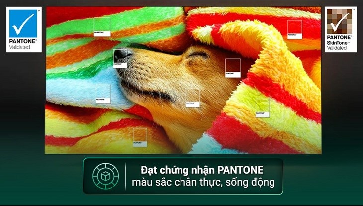 Smart Tivi OLED Samsung 4K 77 inch QA77S95CA cho màu sắc hiển thị chân thực và sống động nhờ đạt chuẩn Pantone