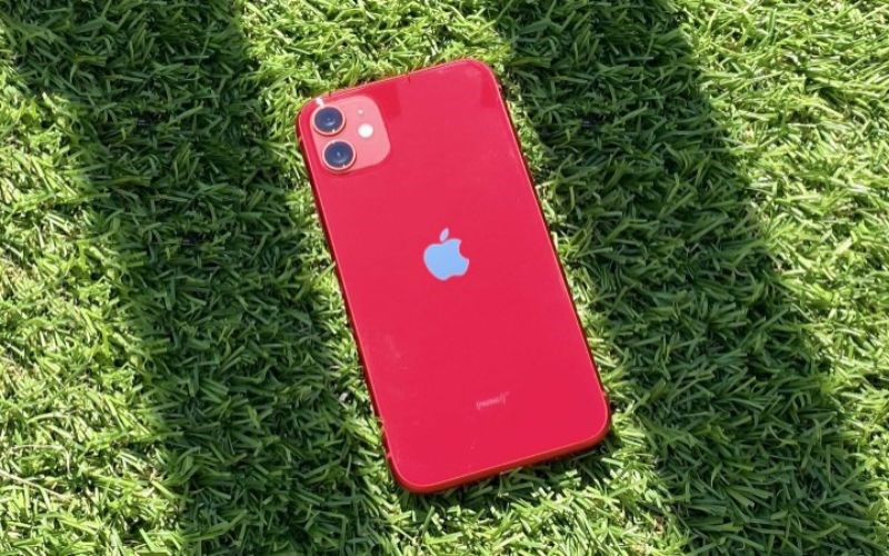 iPhone 11 có mấy màu? Nên chọn mua màu nào đẹp 2022?