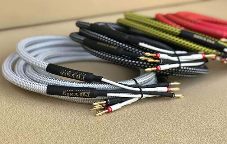 Các loại dây loa phổ biến hiện nay gồm có dây đơn và dây nhiều đầu