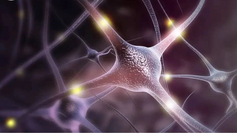 Thuốc ức chế dẫn truyền thần kinh sẽ giúp giảm cảm giác đau