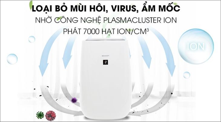 Tiêu diệt nấm mốc, virus, mùi hôi với công nghệ Plasmacluster Ion phát ra 7000 hạt ion/cm3 Máy giúp tiêu diệt nấm mốc, virus, mùi hôi với công nghệ Plasmacluster Ion phát ra 7000 hạt ion/cm3