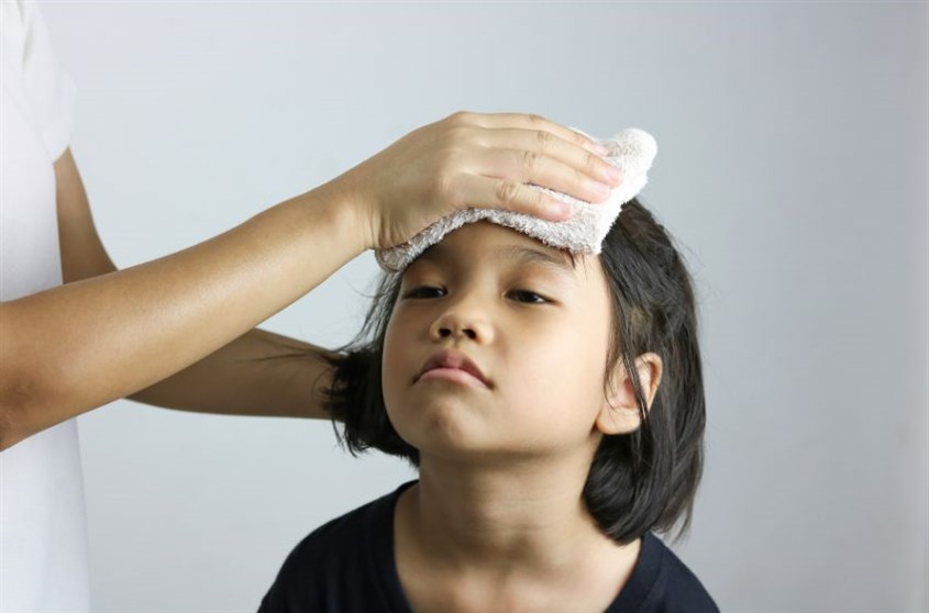 Tinh dầu bạc hà hỗ trợ hạ sốt Mẹo làm tinh dầu bạc hà