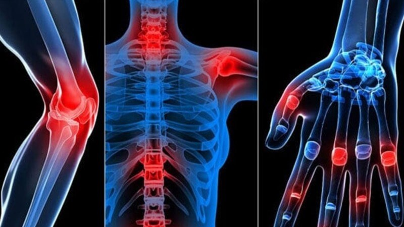 Vải giúp tăng khả năng hấp thụ canxi