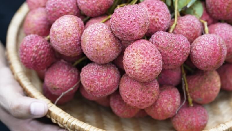 Vải có tính nhiệt, do đó không nên ăn quá nhiều.