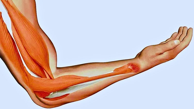 Hàm lượng Magie trong chôm chôm giúp tối ưu hóa chức năng cơ bắp