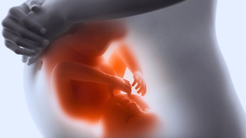 Hoạt chất folate trong chôm chôm góp một phần nhỏ trong việc tránh dị tật thai nhi