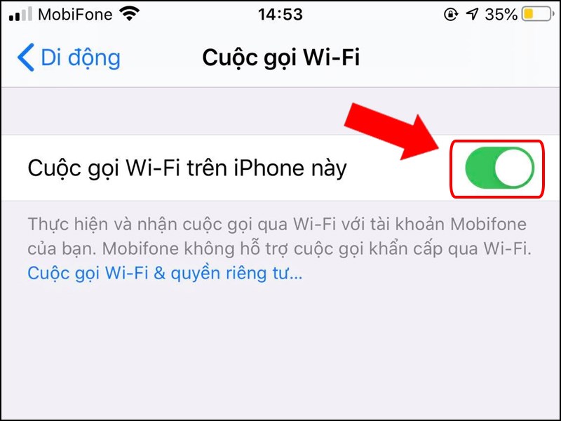 Cuối cùng, bạn tick bật Cuộc gọi Wi-Fi trên iPhone này