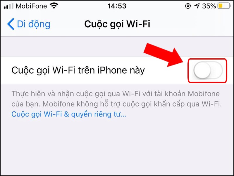 Cuối cùng, bạn tick tắt Cuộc gọi Wi-Fi trên iPhone này