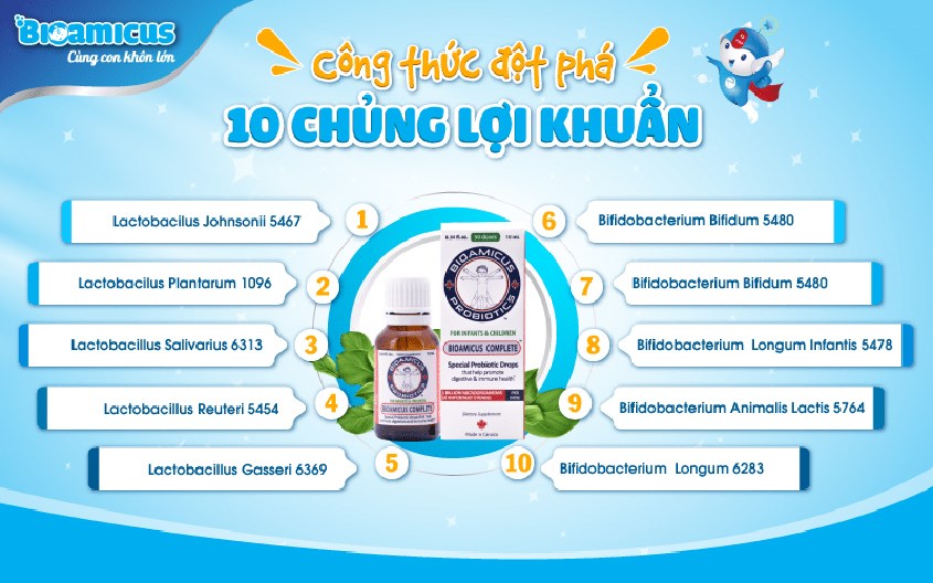 Men vi sinh Bioamicus chứa 2 nhóm lợi khuẩn là Lactobacillus và Bifidobacterium với 10 chủng lợi khuẩn