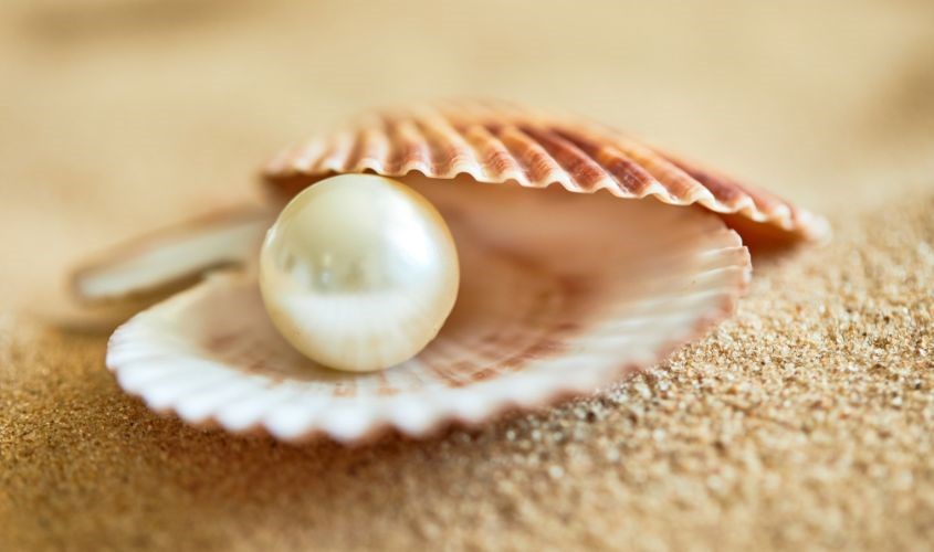Bột ngọc trai có nguồn gốc từ 100% ngọc trai