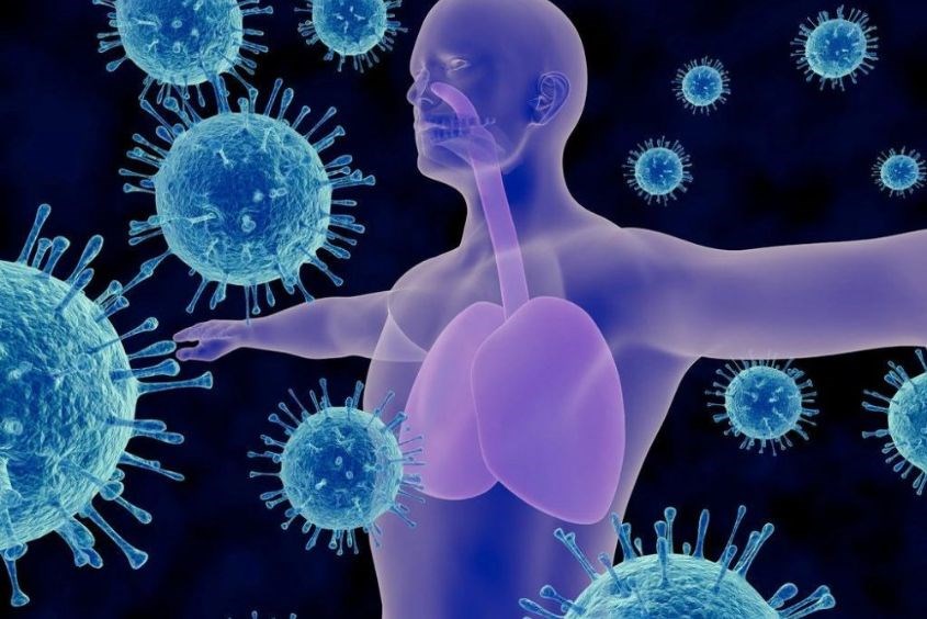 Tiểu đường thai kỳ ăn dưa hấu giúp nâng cao hệ miễn dịch