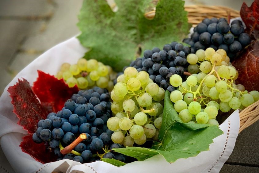 Mẹ bầu có thể ăn nho để bổ sung sắt cho cơ thể