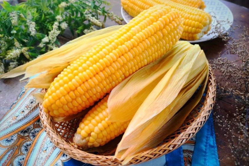 Ăn bắp sẽ giúp bồi bổ trí não Ăn bắp sẽ giúp bồi bổ trí não