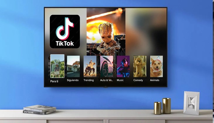 Với dòng tivi Sony, tivi TCL sử dụng hệ điều hành Android, người dùng có thể tải ứng dụng TikTok từ PlayStore/CH Play trên tivi