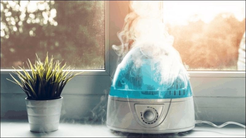 Đảm bảo căn phòng của bạn ở có nhiệt độ và độ ẩm vừa phải