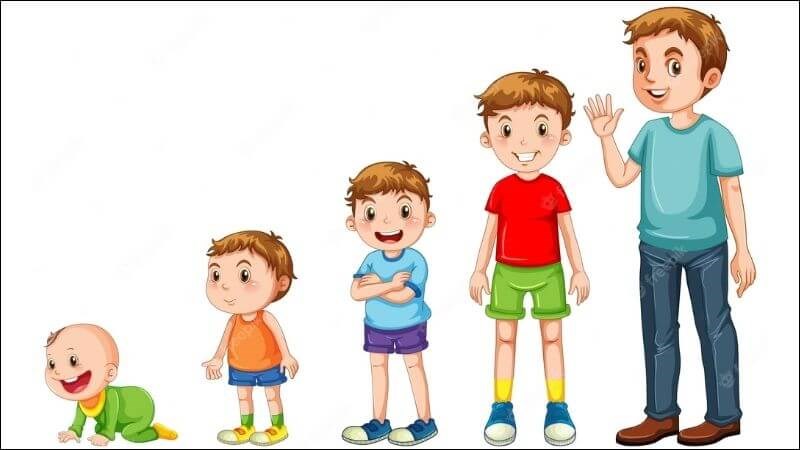 Thực phẩm cung cấp chất dinh dưỡng cần thiết cho quá trình phát triển của trẻ em