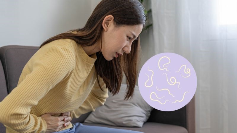 Cây mắt mèo có tác dụng như một chất tẩy giun