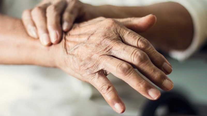Cây mắt mèo tác dụng tốt trên bệnh nhân mắc Parkinson
