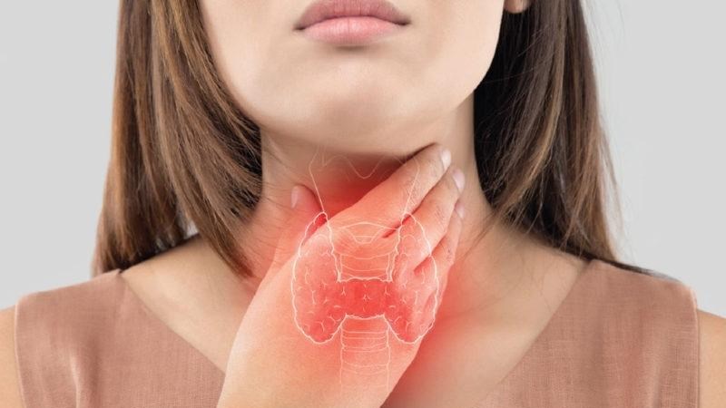 Hạt mắt mèo được biết đến là một loại dược liệu giúp trị các chứng bướu cổ