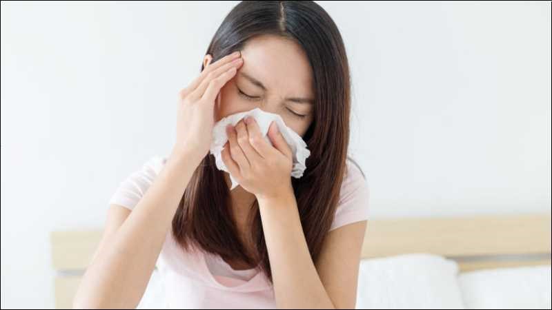 Hạt mắt mèo khô nướng giúp chữa viêm xoang