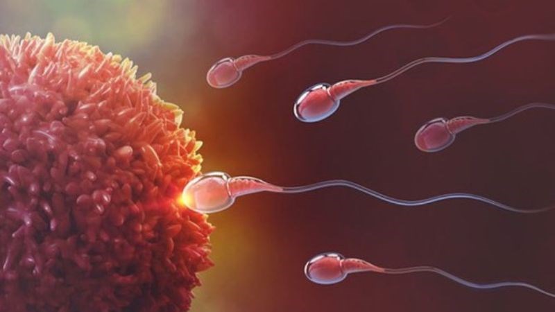 Giải mẫn cảm là phương pháp giúp cơ thể dần thích nghi với tinh dịch