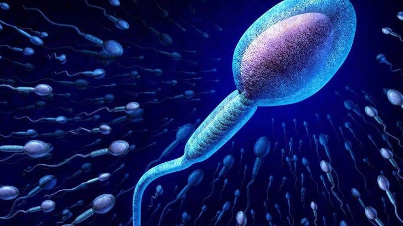 Nguyên nhân dị ứng tinh dịch là do hệ miễn dịch phản ứng với tinh dịch