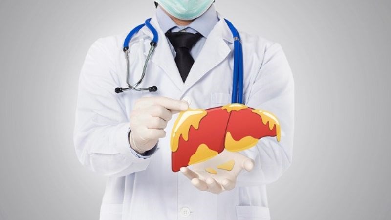 Nhân trần giúp ngăn ngừa tình trạng gan nhiễm mỡ.