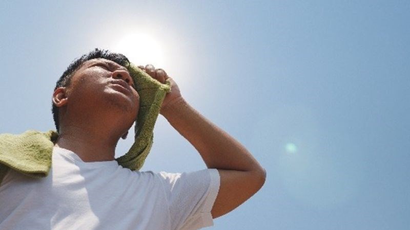 Nhân trần có tác dụng chữa say nắng trong những ngày trời nóng mệt mỏi.