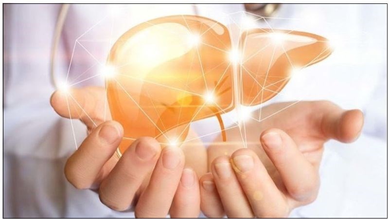 Sử dụng nhân trần có thể cải thiện các bệnh lý về gan.