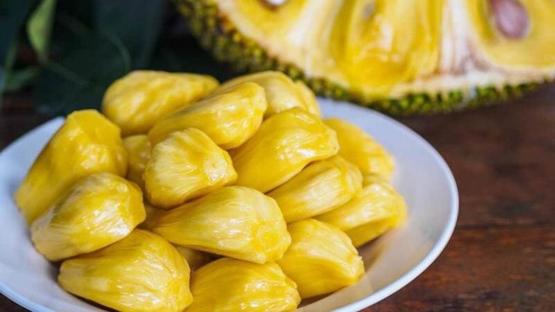 Bà bầu chỉ nên ăn 80 - 100g mít mỗi ngày để tránh ảnh hưởng đến sức khỏe
