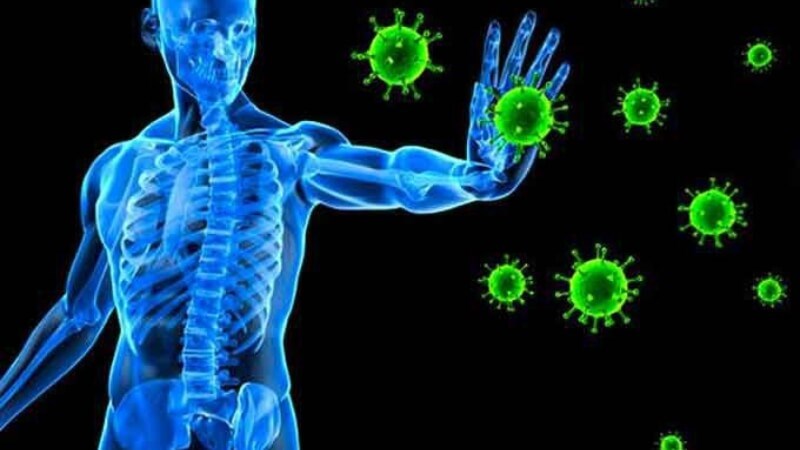 Vitamin và chất xơ có trong mít giúp tăng cường miễn dịch cho phụ nữ mang thai