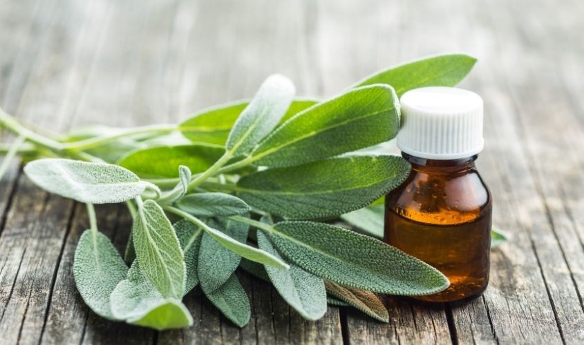 Tinh dầu xô thơm