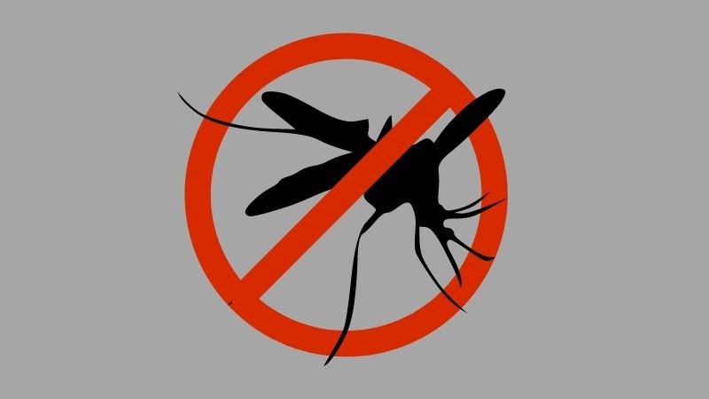 Diệt muỗi chính là cách ngăn chặn dịch sốt xuất huyết và sốt rét hiệu quả Diệt muỗi chính là cách ngăn chặn dịch sốt xuất huyết và sốt rét hiệu quả