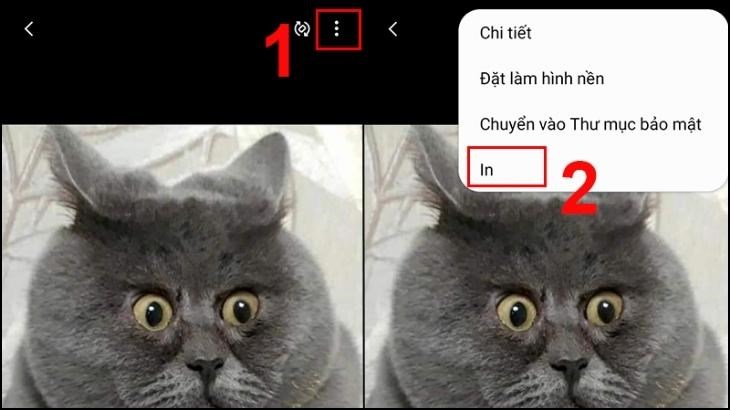 In ảnh trực tiếp từ Bộ sưu tập