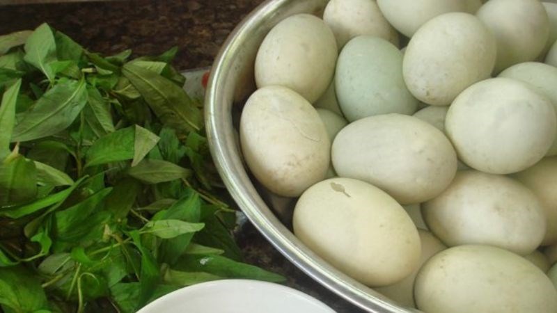 Ăn trứng vịt lộn với rau răm có thể giúp hạn chế tình trạng lạnh bụng, khó tiêu.